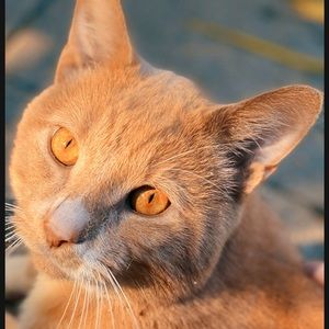 Meet your Posher, Kylee